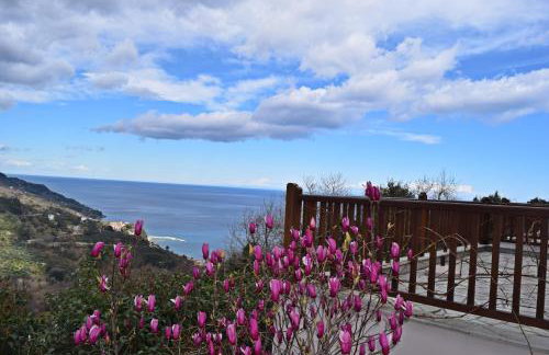 Lions Nine - Foto 10