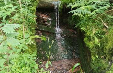 Im alten Kino - Foto 27