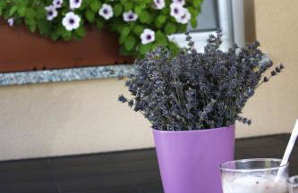 Vila Atlantida - Photo 42