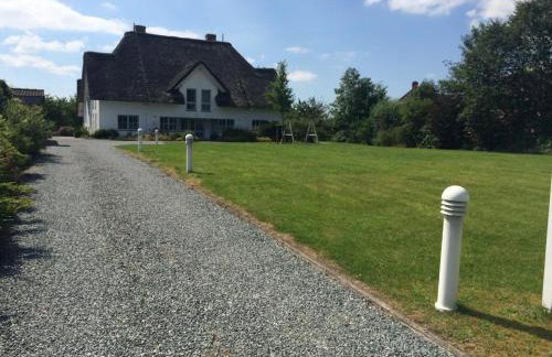 Großer Wattläufer - Foto 22