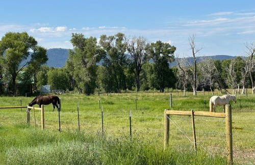 3 King Beds Spacious 4 BR 3 BATH AC Near Jackson - Foto 56