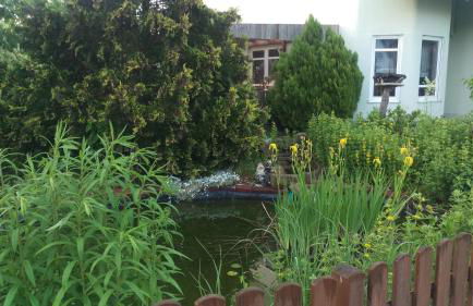 Ferienhaus Bornscheuer - Foto 6