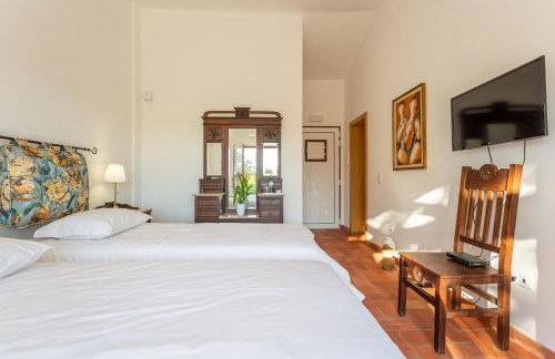 Cerro da Campaniça - Foto 46