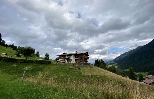 Bi-dr-gondamaika - Foto 33