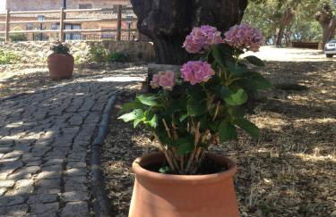 Apartamentos Rurales La Macera **** - Foto 55