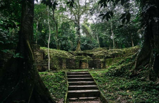 Tour privato del sito archeologico di Palenque - Foto 7