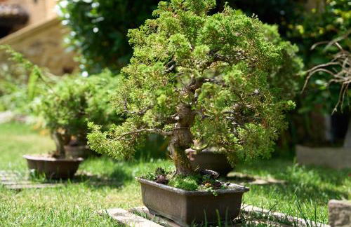 La charmante - Foto 59