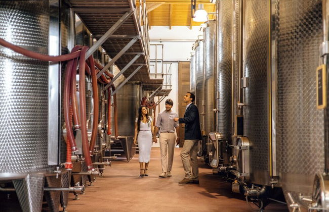 Podere Montale Winery - Photo 36