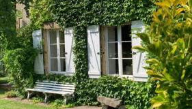 La Tour du Boueix - Foto 2, Garden