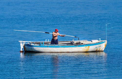 Vitez's House Novigrad/Knight's House Novigrad - Foto 40