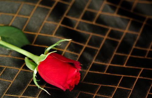 Casa Amor - Kinky Hotel UK - Photo 28