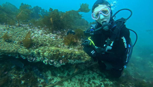 Immersione per principianti a Puerto Madryn - Foto 3, Le barriere coralline di Puerto Madryn