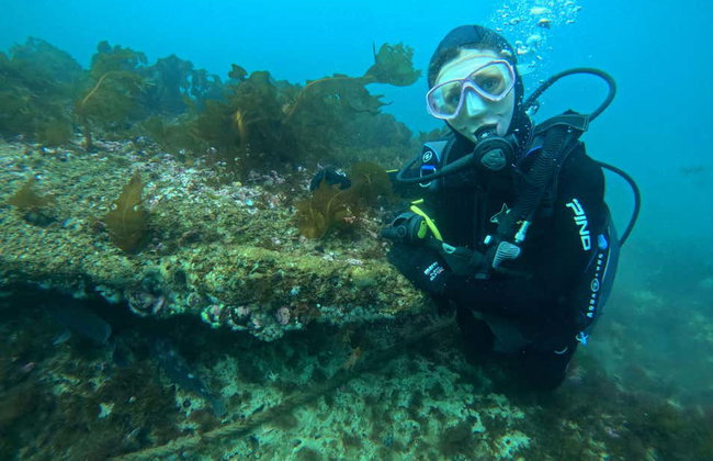 Bautismo de buceo en Puerto Madryn - Foto 3