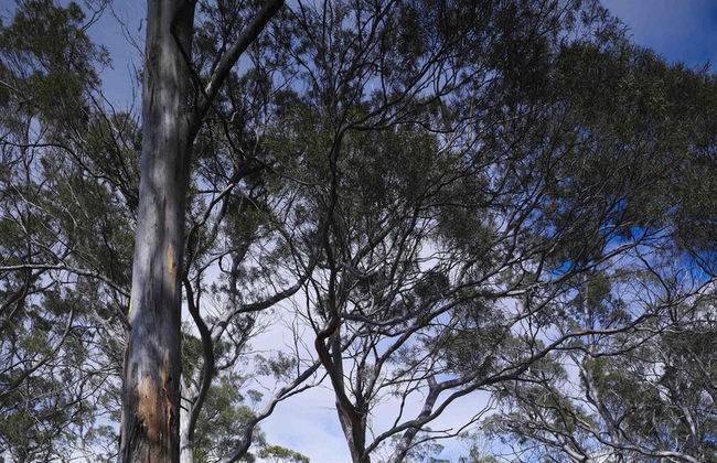 Rocky Hills Retreat - Foto 6