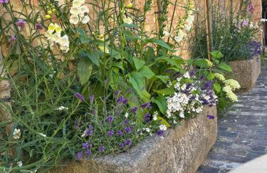 The Old Wheatsheaf - Foto 3