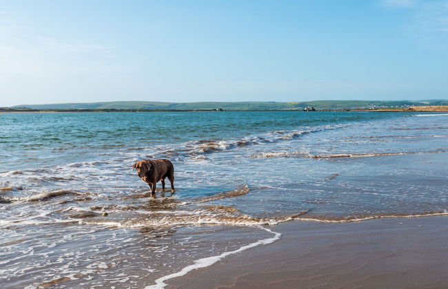 Holly Hayes House - Photo 50