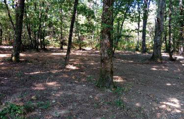 Les pruniers de la cipière - Foto 36