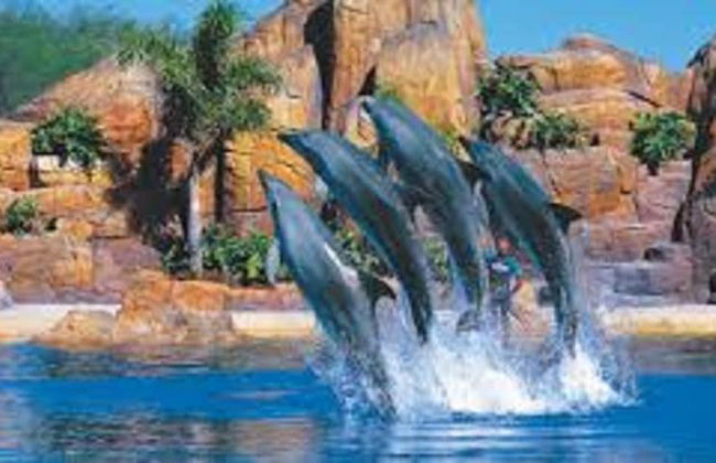 Gold Coast Theme Park Villa - Foto 12