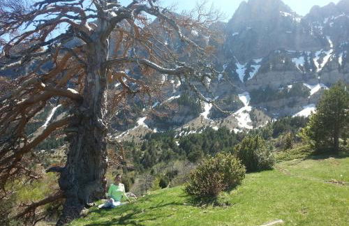 Apartamentos Casa Patro - Foto 76