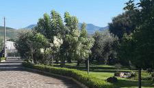 Casa al lago - Foto 4