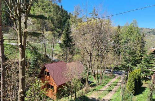 Duży drewniany domek nad rzeką, Obidza 381, Łącko - Foto 35