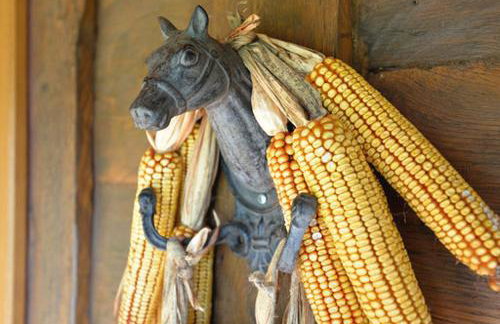 Old Oak House with pool - Foto 19