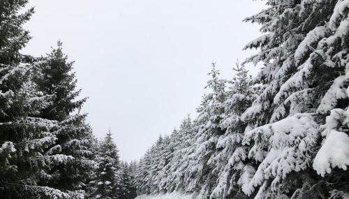 Ferienhaus Zur Bergeshöhe - Foto 2
