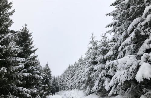 Ferienhaus Zur Bergeshöhe - Foto 2