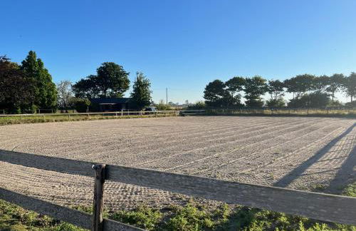 Ferienhof Reimers - Foto 15