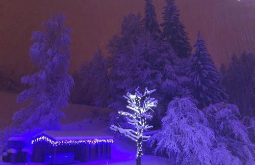 Le Moulin des Olirics - Photo 103