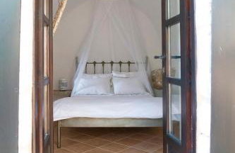 PositiveSpace Olive Tree - Foto 24