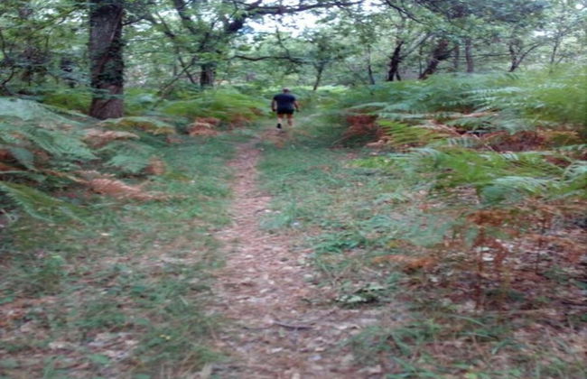 Holiday Home Le Fournil in Manhay With Garden - Photo 25