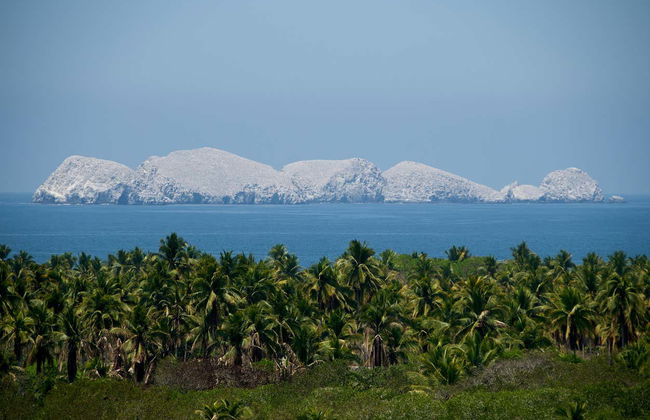 Potosí Lagoon Boat Trip & Horse Riding - Photo 4