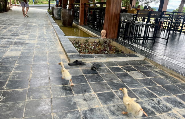 Nguyen Shack Retreat - Foto 55