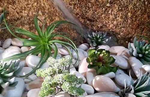 O Cantinho da Ana - Foto 31