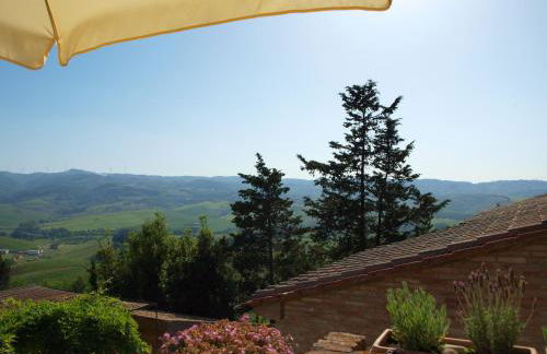 Poggio Magginga - Foto 13