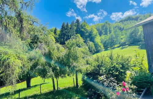 Le Chalet de Bémont - Foto 17