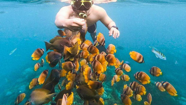 Snorkeling Manta Ray Tour - Foto 2