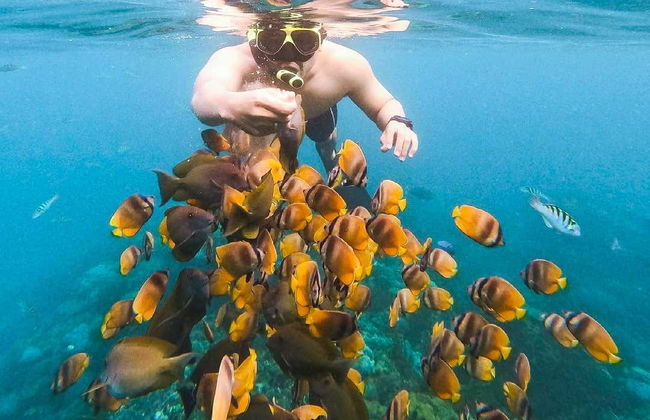 Snorkeling con le mante a Nusa Penida - Foto 2
