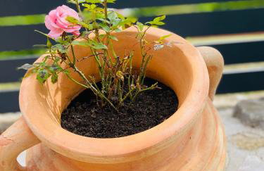 Apartments Sea Heaven - Photo 48