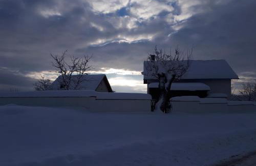 Vila NINA - Photo 54