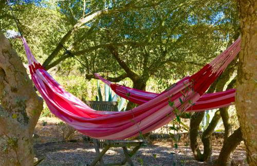 Finca Meerlust - Las Ballenas - Foto 24