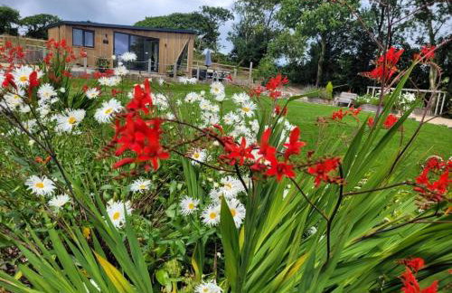 Brondini View Cabin (Private Garden and Hot Tub) - Foto 14