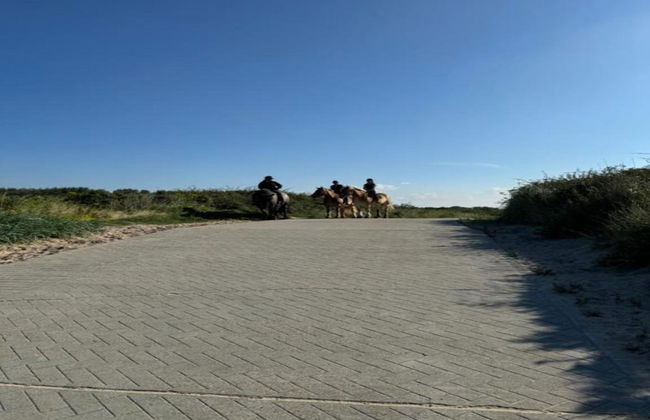 Luxury Villa, 2 Baths, nr Beach - Photo 24