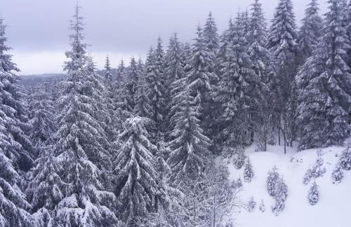 Holiday Home Thüringer Landhaus by Interhome - Foto 37