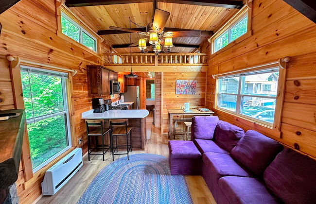 B11 NEW Awesome Tiny Home With A C Mountain Views Minutes to Skiing Hiking Attractions - Photo 6