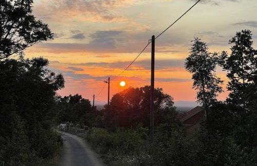 Villa Toni by BOTANICA Traditional stone house - Foto 8