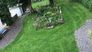 4-Zimmer Apartment auf Resthof - Foto 4, Garden, Garden view