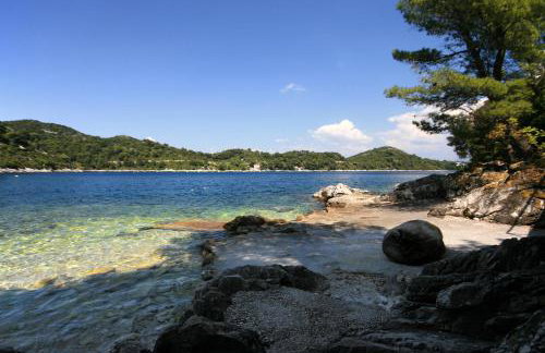 Apartments by the sea Sobra, Mljet - 7531 - Foto 4