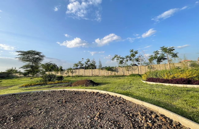 Urban Escape - Foto 2